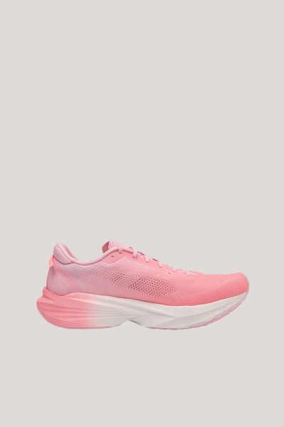 ��������� ��� ���� ANTA Pioneer