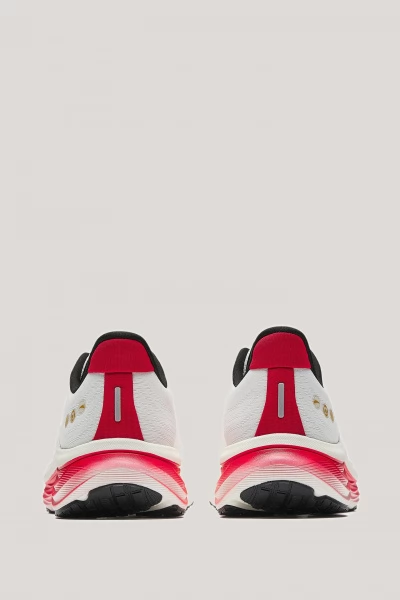 ��������� ��� ���� ANTA WALK 2.0