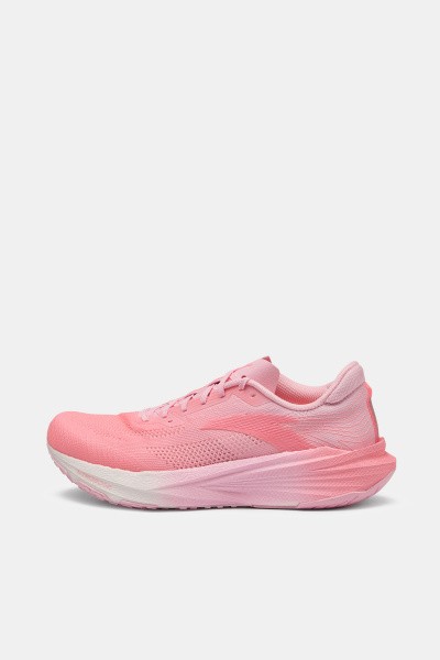 ��������� ��� ���� ANTA Pioneer