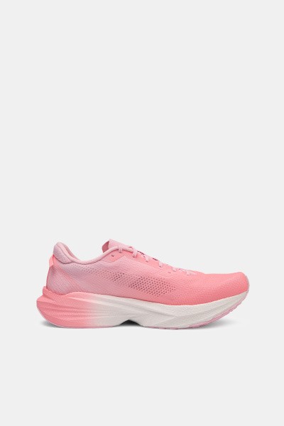 ��������� ��� ���� ANTA Pioneer