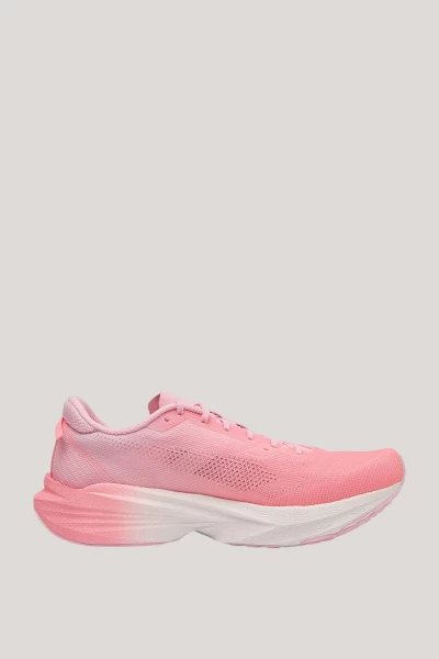 ��������� ��� ���� ANTA Pioneer