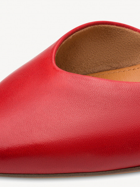 ������� ������� ����������� ����