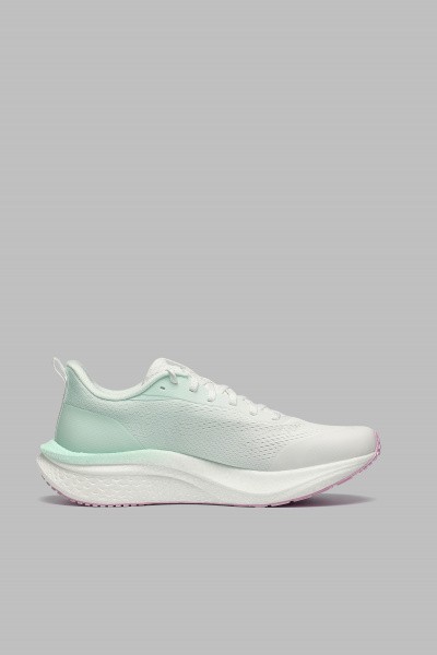 ��������� ��� ���� ANTA MACH 6.0 SE