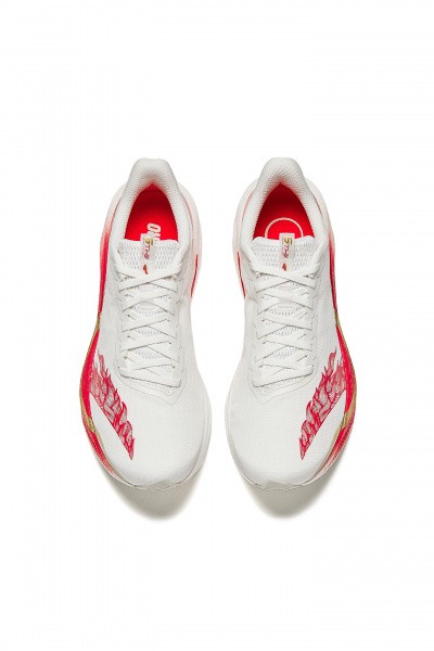 ��������� ��� ���� ANTA MACH 6.0