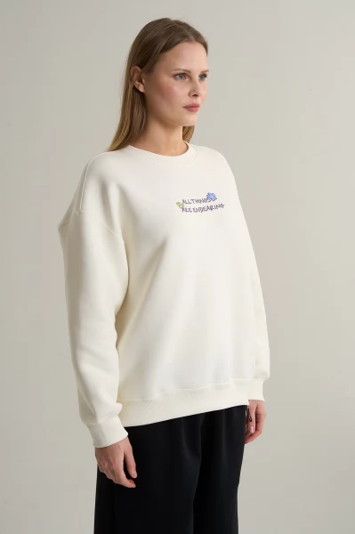 ������� Anta SKATE Sweatshirt