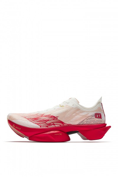 ��������� ��� ���� ANTA C10 PRO 2