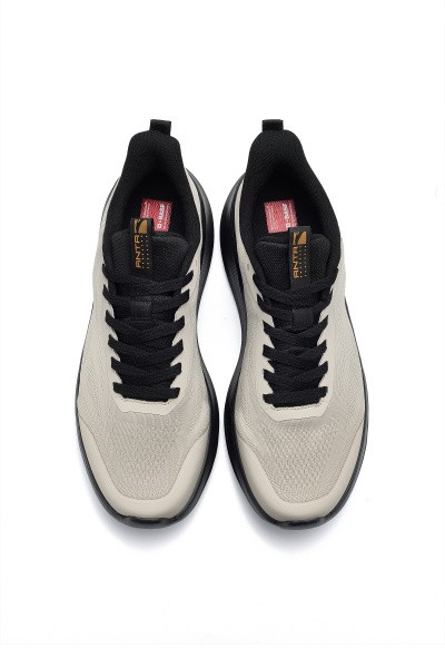 ��������� ��� �������� ANTA EBUFFER Lite 14