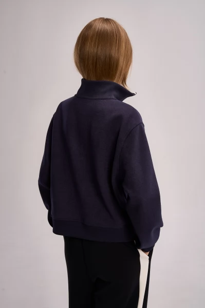 ��������� half-zip ANTA ICONIC Sweatshirt