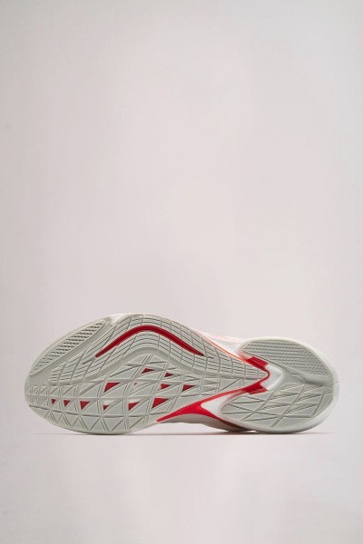 ��������� ��� ���� ANTA MACH 6.0