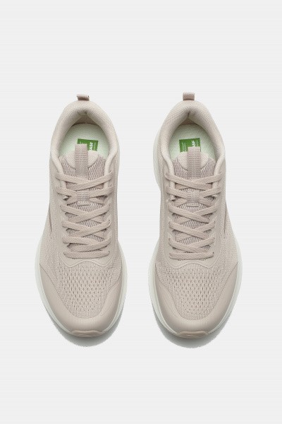��������� ��� ���� ANTA BASIC