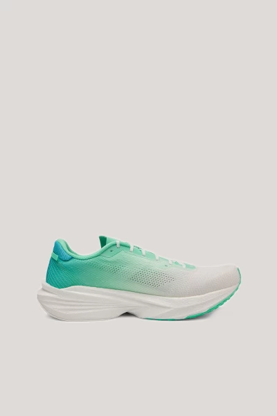 ��������� ��� ���� ANTA Pioneer