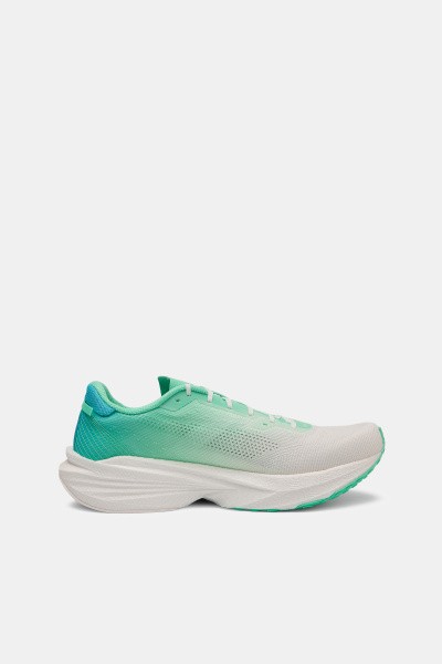��������� ��� ���� ANTA Pioneer