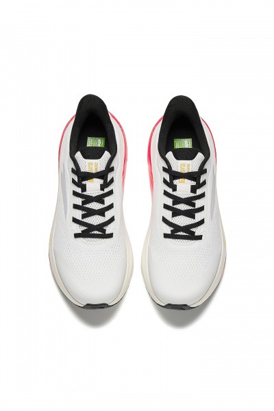 ��������� ��� ���� ANTA WALK 2.0