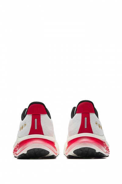 ��������� ��� ���� ANTA WALK 2.0