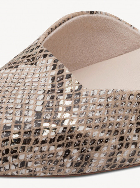 ������� ������� ��������