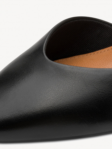 ������� ������� ����������� ����