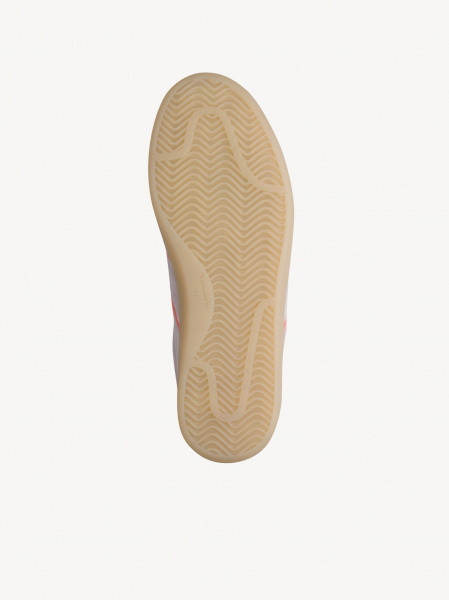 ������� ���� ����������� ����