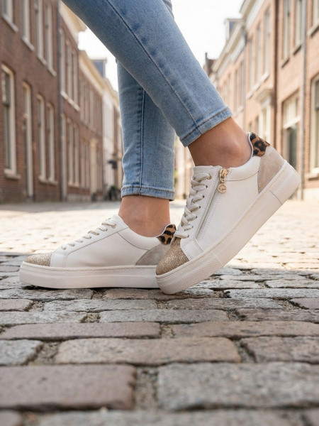 ������� ���� ������������� ����