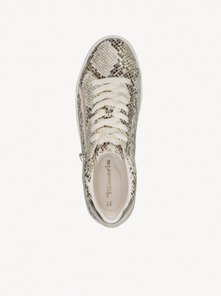 ������� ���� ��������