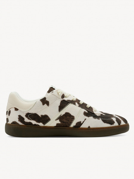 ������� ���� ��������