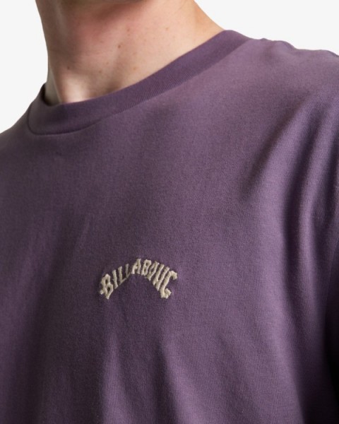 �������� BILLABONG ARCH CREW SS