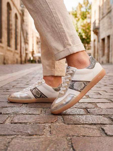 ������� ���� ����������� ����