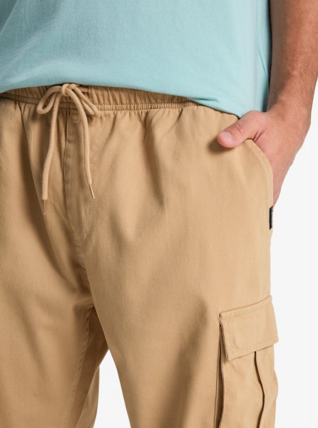 ������� ����� TAXER REGULAR CARGO PANT