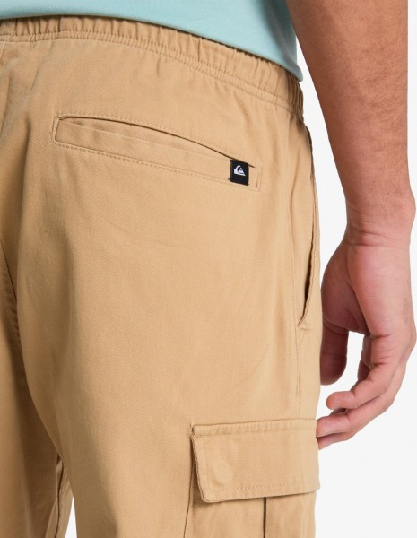 ������� ����� TAXER REGULAR CARGO PANT
