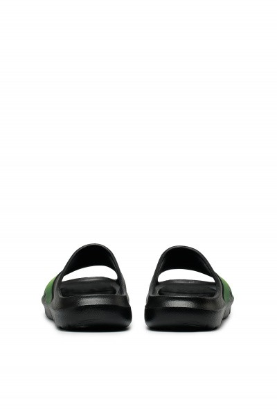 ������ ANTA C37