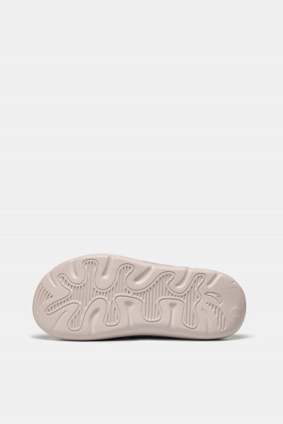 ������ ANTA C37