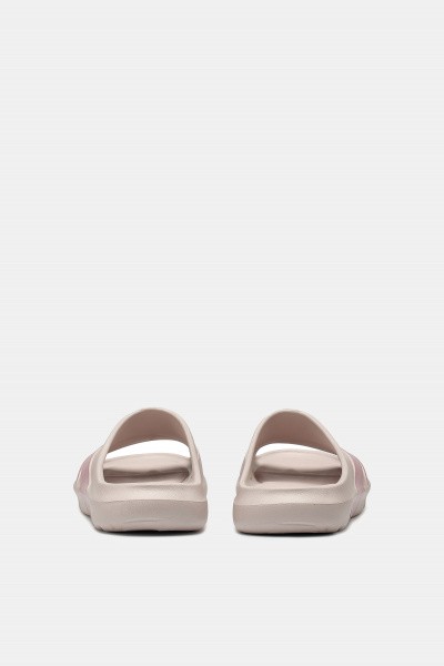 ������ ANTA C37