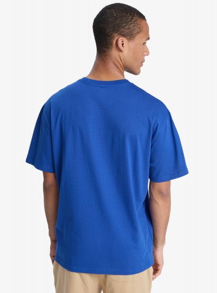 �������� QUIKSILVER DNA CLICKER SS