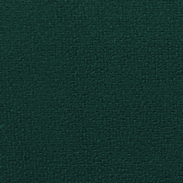 784050001780056559-1442333_13