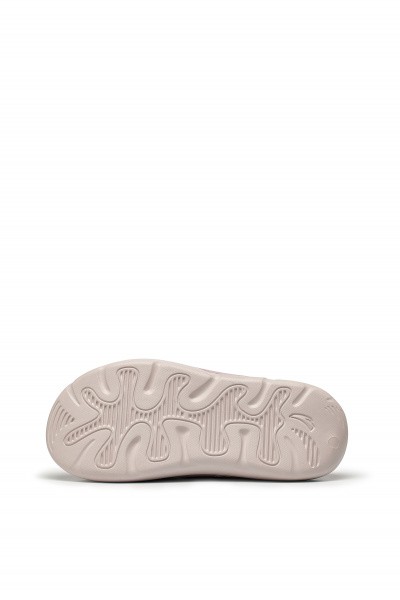 ������ ANTA C37