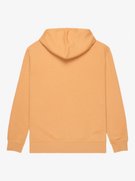 ���� QUIKSILVER SALT WATER HOODIE