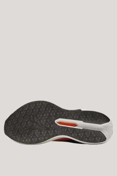 ��������� ��� ���� ANTA ZONE 2 85