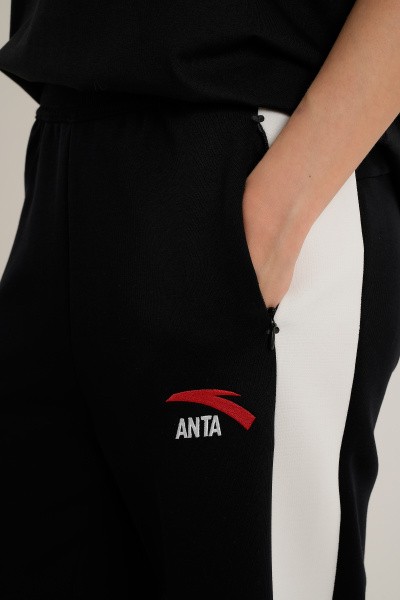 ����� ����������� ANTA