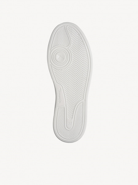 ������� ���� ����������� ����