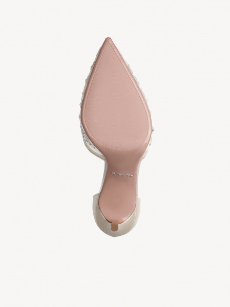 ������� ����� ��������