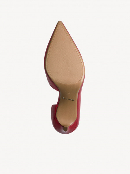 ������� ����� ����������� ����