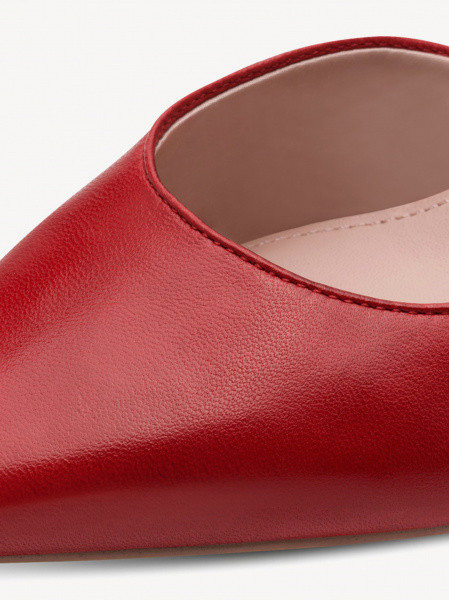 ������� ����� ����������� ����