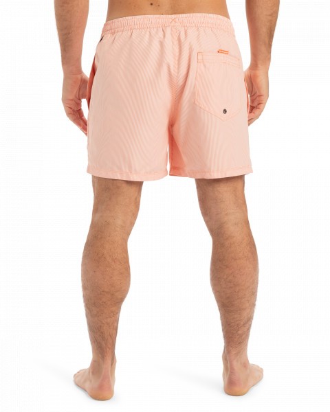 ������� ��������� EVERYDAY DELUXE VOLLEY 17