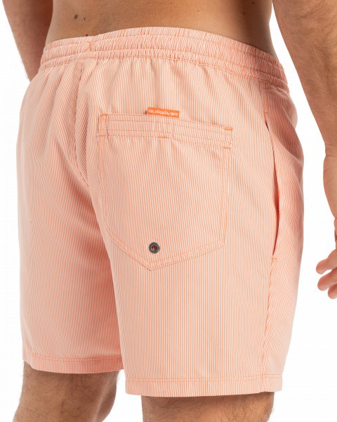 ������� ��������� EVERYDAY DELUXE VOLLEY 17