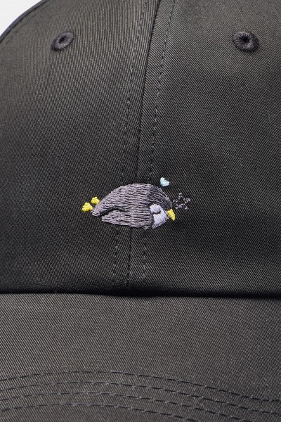 ��������� ANTA Baseball Cap