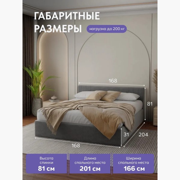 ������� ���� ����������� ����� �����