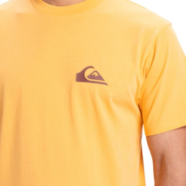 �������� QUIKSILVER EV MINI LOGO SS NGR0