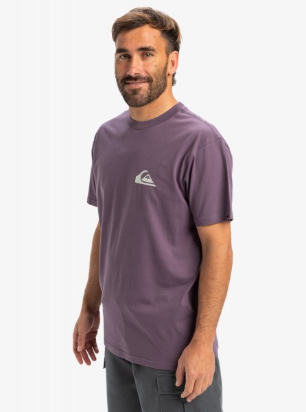 �������� QUIKSILVER EV MINI LOGO SS PQC0