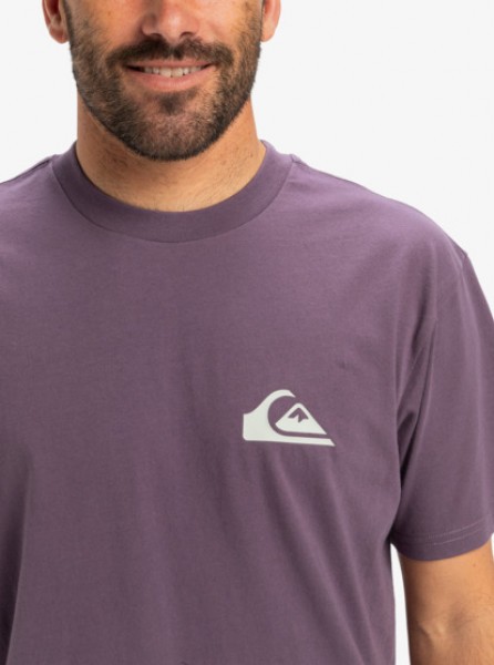 �������� QUIKSILVER EV MINI LOGO SS PQC0