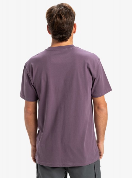 �������� QUIKSILVER EV MINI LOGO SS PQC0