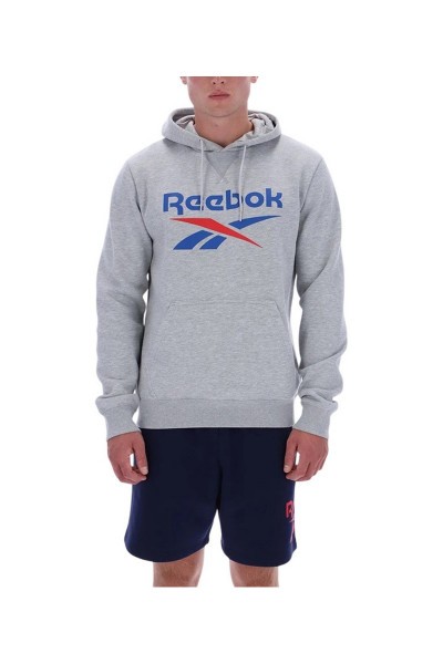 ���� TRENT 2 COL LOGO HOODY